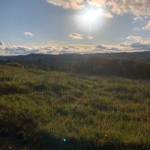 Meet your Posher, Krystal